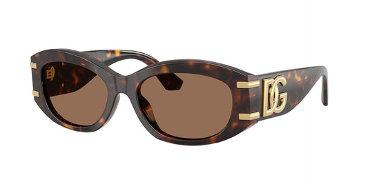 Γυναικεία Γυαλιά Ηλίου Dolce Gabbana DG 4502 502/73 55