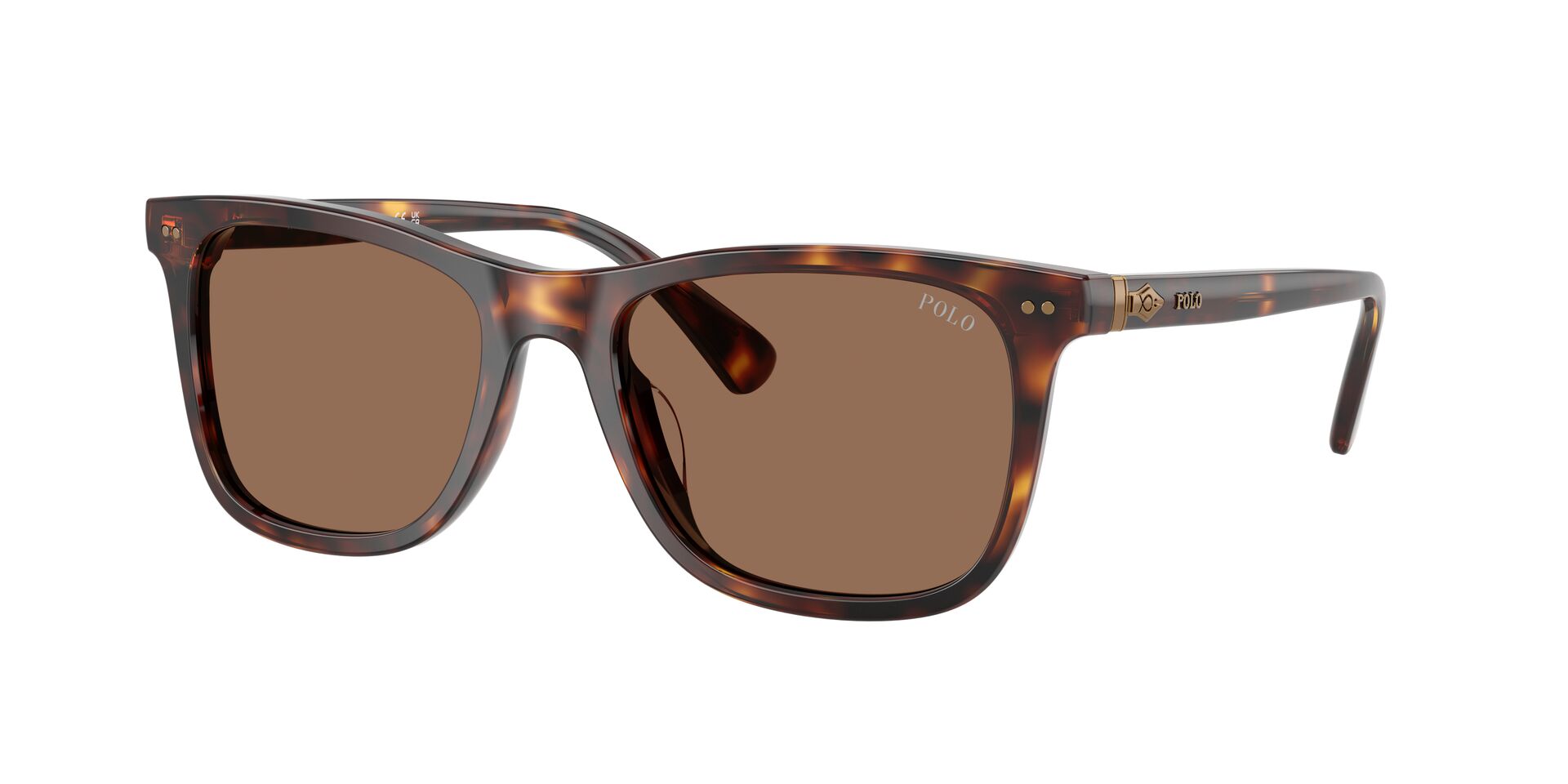 Ανδρικά Γυαλιά Ηλίου Polo Ralph Lauren PH 4220/U 6137/73 55