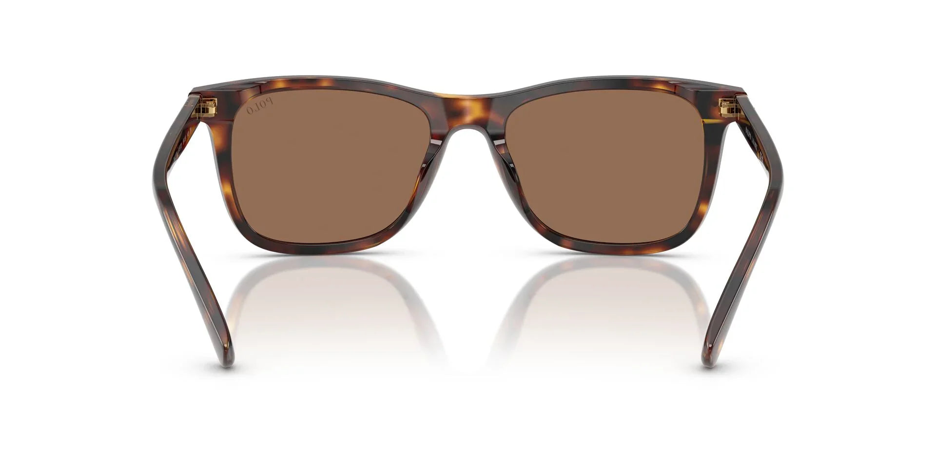 Ανδρικά Γυαλιά Ηλίου Polo Ralph Lauren PH 4220/U 6137/73 55