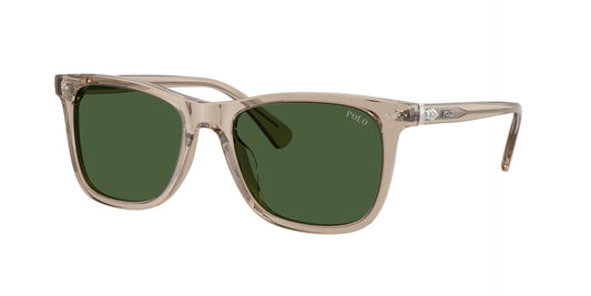 Ανδρικά Γυαλιά Ηλίου Polo Ralph Lauren PH 4220U 6201/71 55