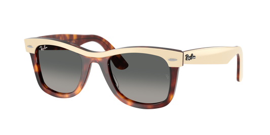 Ray-Ban RB 2240 1443/71 50
