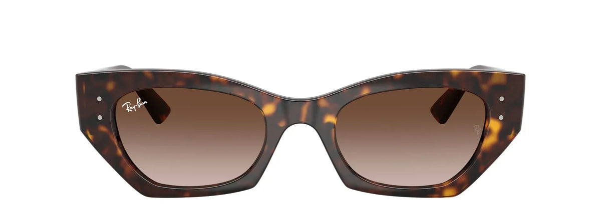 Unisex Γυαλιά Ηλίου Ray-Ban RB 4430 135913 52