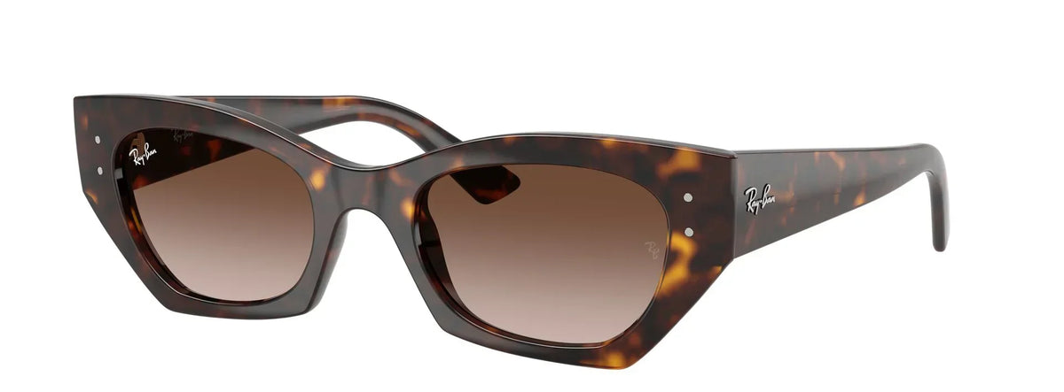 Unisex Γυαλιά Ηλίου Ray-Ban RB 4430 135913 52