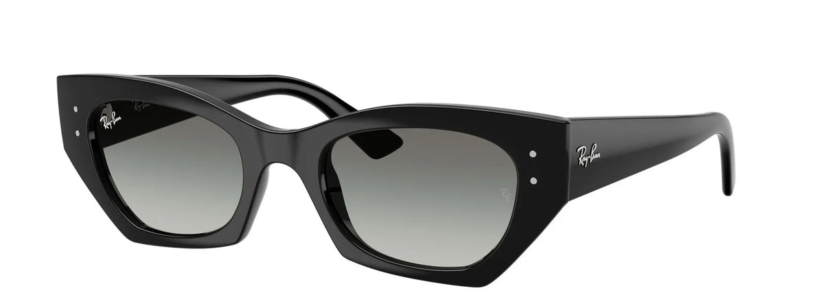 Unisex Γυαλιά Ηλίου Ray-Ban RB 4430 6677/11 52