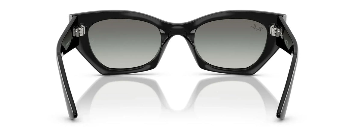 Unisex Γυαλιά Ηλίου Ray-Ban RB 4430 6677/11 52