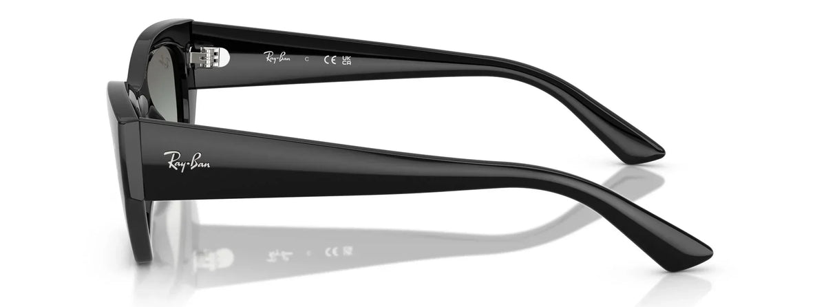 Unisex Γυαλιά Ηλίου Ray-Ban RB 4430 6677/11 52