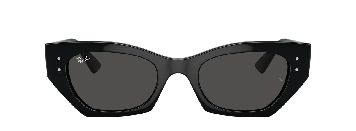 Unisex Γυαλιά Ηλίου Ray-Ban RB 4430 6677/87 49