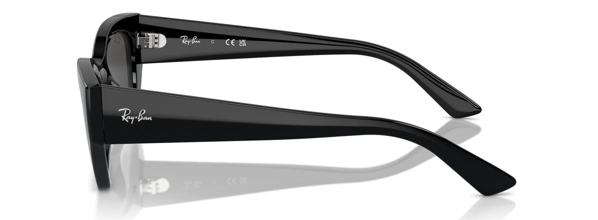 Unisex Γυαλιά Ηλίου Ray-Ban RB 4430 6677/87 49