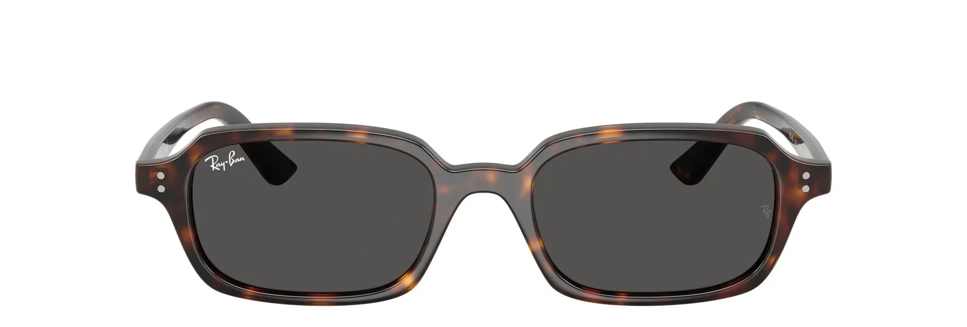 Unisex Γυαλιά Ηλίου Ray-Ban RB 4455 1359/87 49