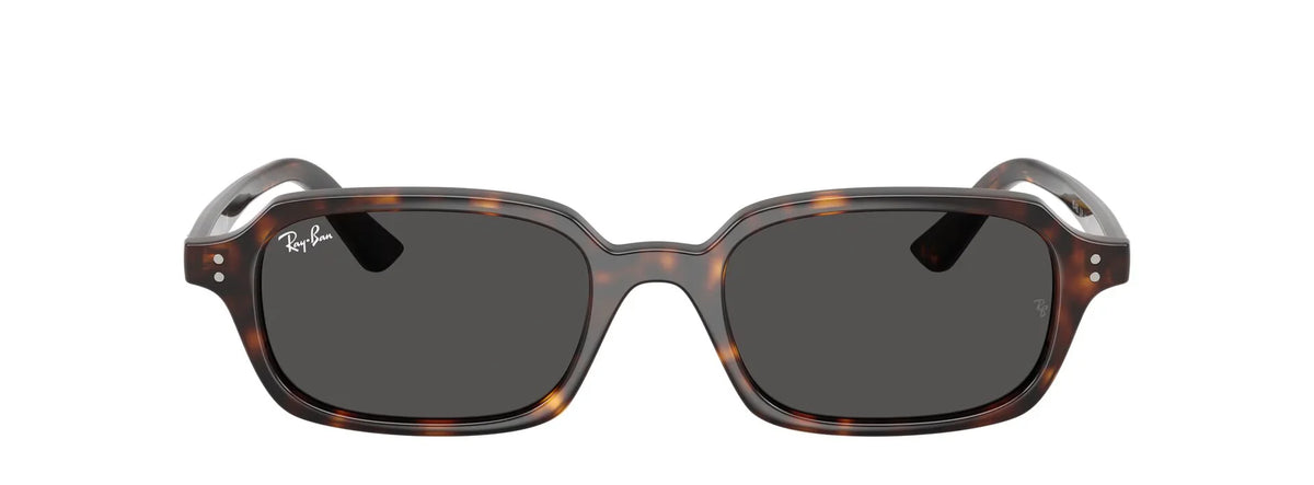 Unisex Γυαλιά Ηλίου Ray-Ban RB 4455 1359/87 49