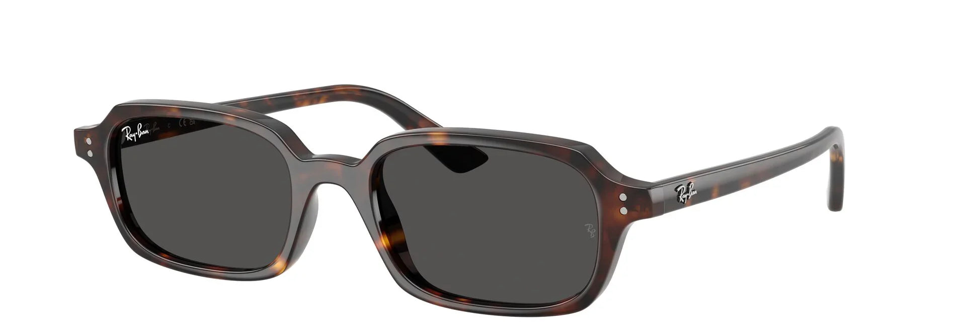 Unisex Γυαλιά Ηλίου Ray-Ban RB 4455 1359/87 49