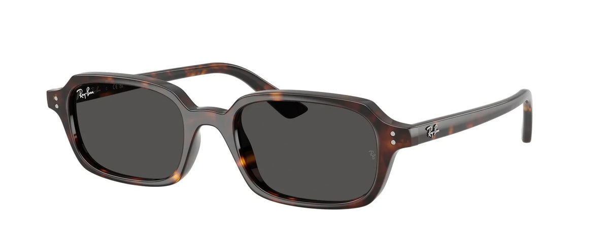 Unisex Γυαλιά Ηλίου Ray-Ban RB 4455 1359/87 49