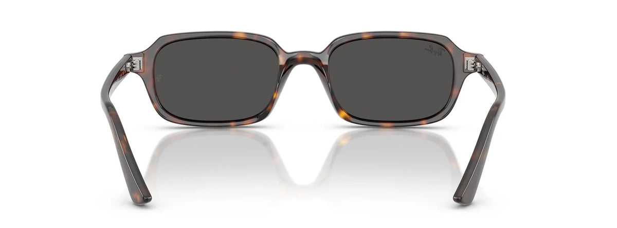 Unisex Γυαλιά Ηλίου Ray-Ban RB 4455 1359/87 49