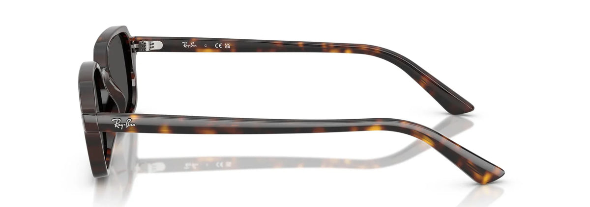 Unisex Γυαλιά Ηλίου Ray-Ban RB 4455 1359/87 49