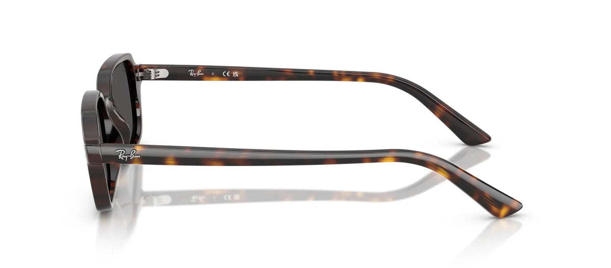 Unisex Γυαλιά Ηλίου Ray-Ban RB 4455 1359/87 49