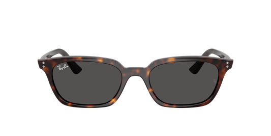 Ray-Ban RB 4456 1359/87 50
