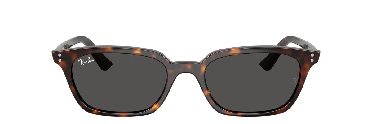 Unisex Γυαλιά Ηλίου Ray-Ban RB 4456 1359/87 50