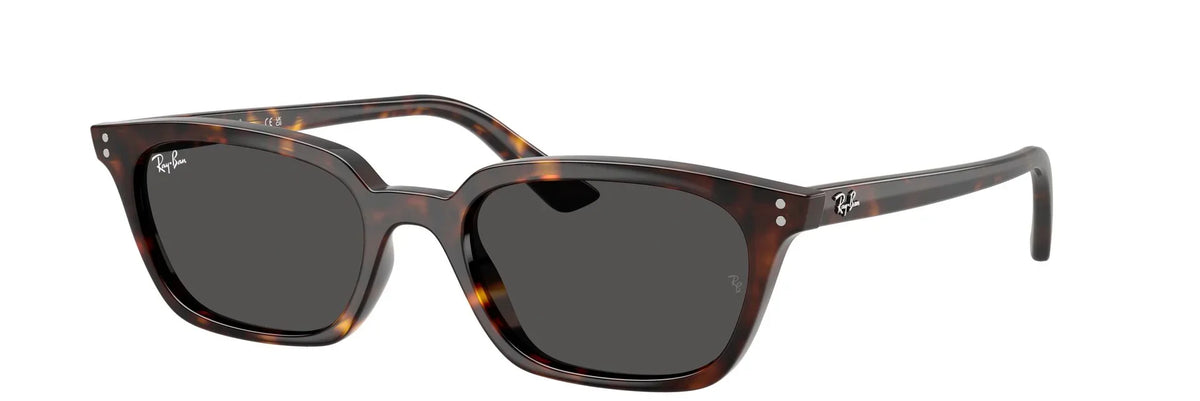 Unisex Γυαλιά Ηλίου Ray-Ban RB 4456 1359/87 50