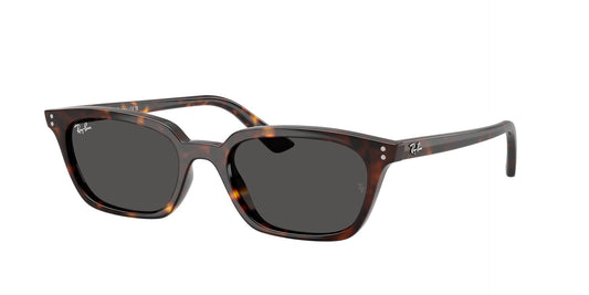 Unisex Γυαλιά Ηλίου Ray-Ban RB 4456 1359/87 50