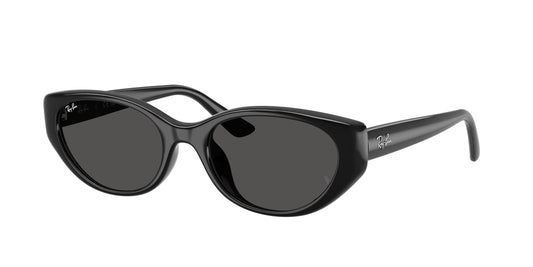 Unisex Γυαλιά Ηλίου Ray-Ban RB 4457D 6677/87 55
