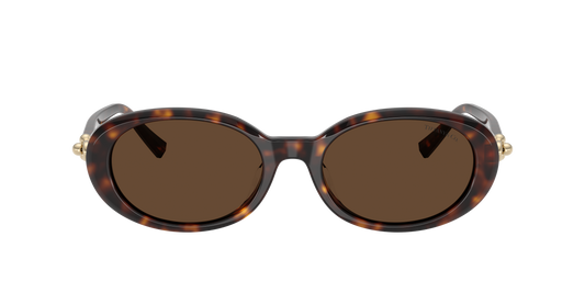 Γυναικεία Γυαλιά Ηλίου Tiffany TF 4242D 80153G 54