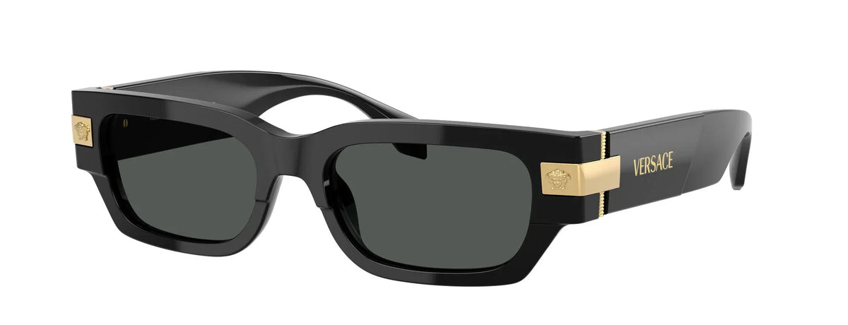 Ανδρικά Γυαλιά Ηλίου Versace VE 4465 GB1/87 53