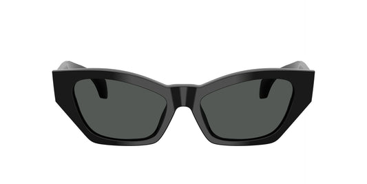 Γυναικεία Γυαλιά Ηλίου Versace VE 4488U GB1/87 53