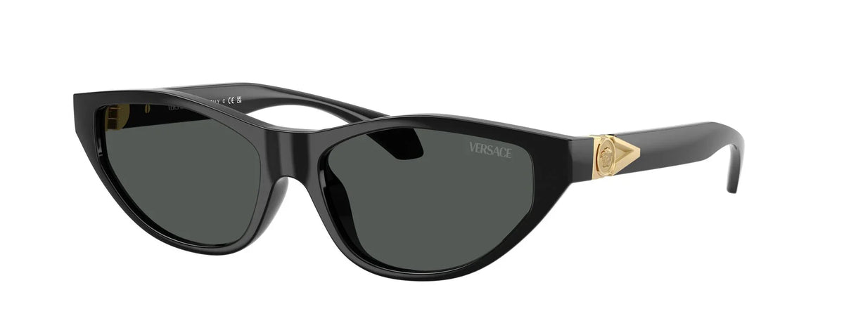 Γυναικεία Γυαλιά Ηλίου Versace VE 4491U GB1/87 55
