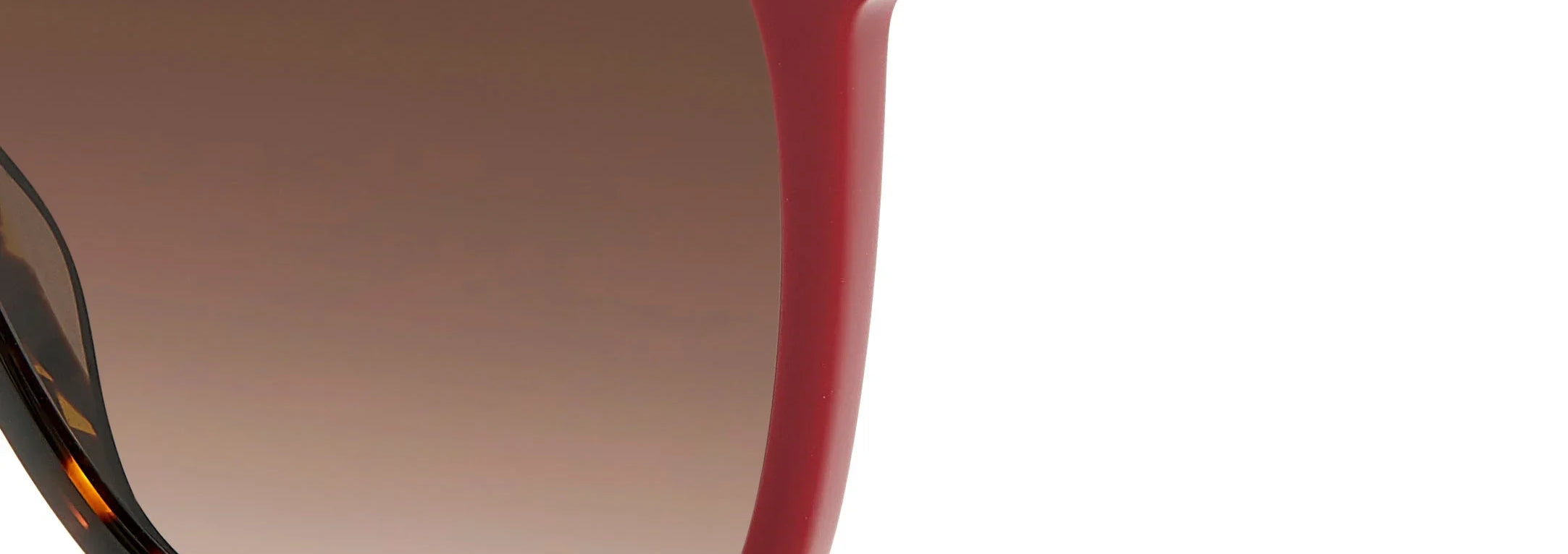 Γυναικεία Γυαλιά Ηλίου Carolina Herrera HER 0245/S 063/HA 55