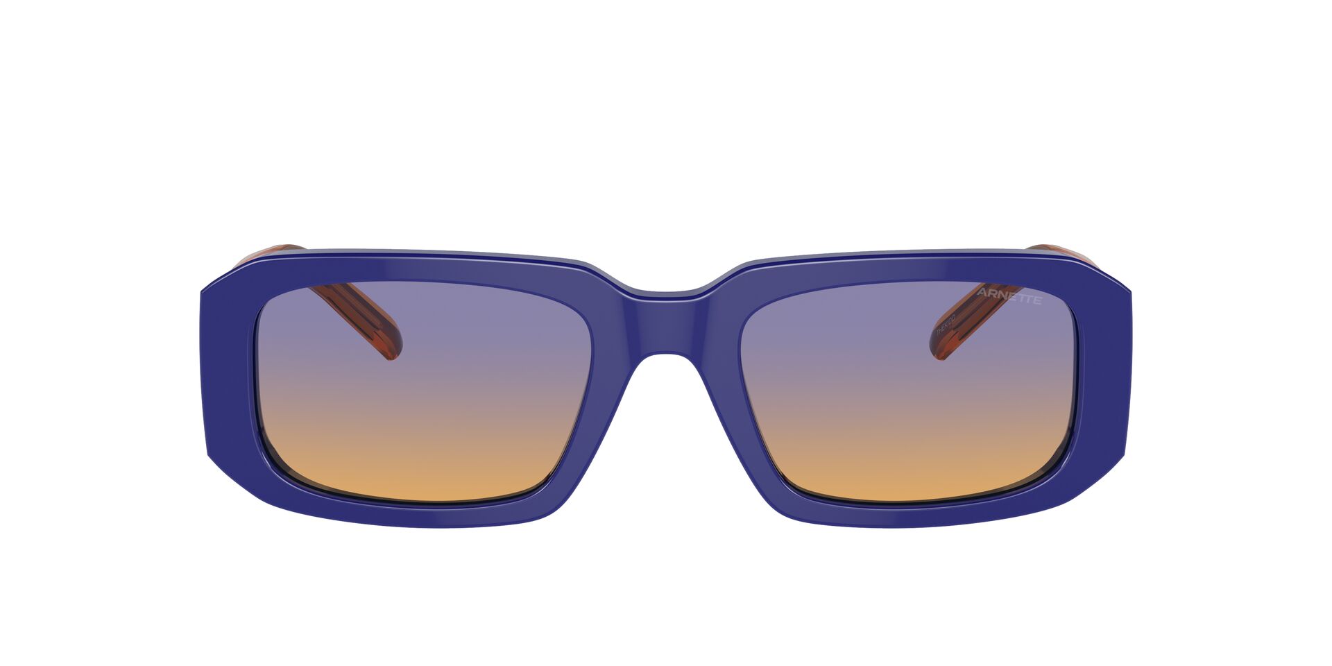 Ανδρικά Γυαλιά Ηλίου Arnette AN 4318 1239/2H 53