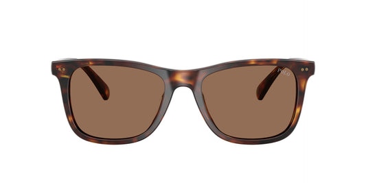 Ανδρικά Γυαλιά Ηλίου Polo Ralph Lauren PH 4220/U 6137/73 55