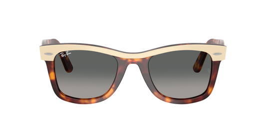 Ray-Ban RB 2240 1443/71 50
