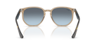 Unisex Γυαλιά Ηλίου Ray-Ban RB 4306 6788V1 54