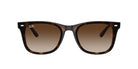 Unisex Γυαλιά Ηλίου Ray-Ban RB 4420 710/13 65