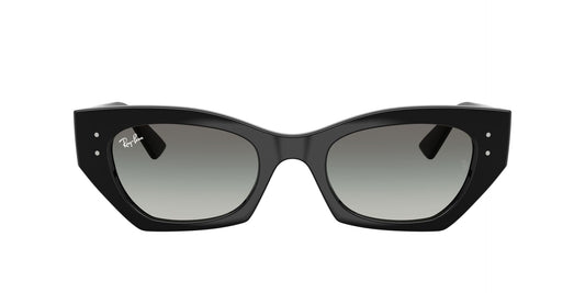 Unisex Γυαλιά Ηλίου Ray-Ban RB 4430 6677/11 52