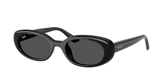 Unisex Γυαλιά Ηλίου Ray-Ban RB 4441D 667787 53