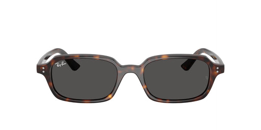 Unisex Γυαλιά Ηλίου Ray-Ban RB 4455 1359/87 49