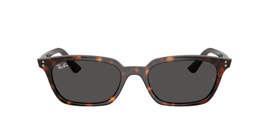 Unisex Γυαλιά Ηλίου Ray-Ban RB 4456 1359/87 50