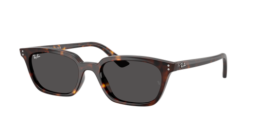 Ray-Ban RB 4456 1359/87 50