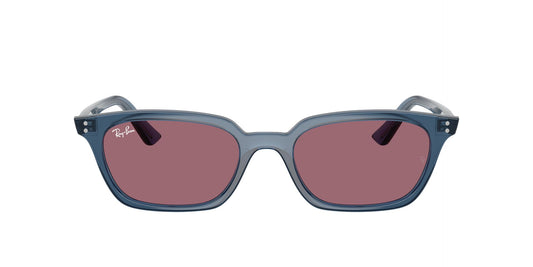 Unisex Γυαλιά Ηλίου Ray-Ban RB 4456 6812/A 50