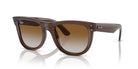 Unisex Γυαλιά Ηλίου Ray-Ban RBR0502S 6709CB 50