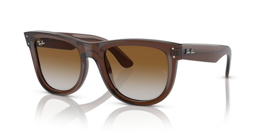 Unisex Γυαλιά Ηλίου Ray-Ban RBR0502S 6709CB 50