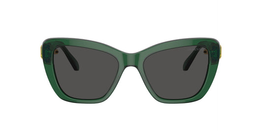 Γυναικεία Γυαλιά Ηλίου Swarovski SK 6018 104587 52