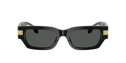 Ανδρικά Γυαλιά Ηλίου Versace VE 4465 GB1/87 53