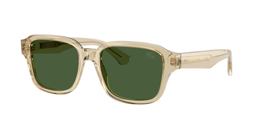 Burberry BE 4484 422671 53